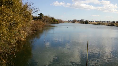 DSC_0210.JPG