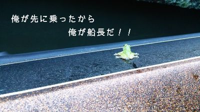 かえる