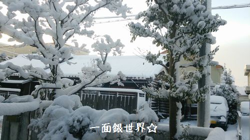 雪景色