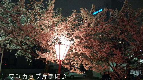 夜桜