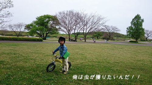 公園2