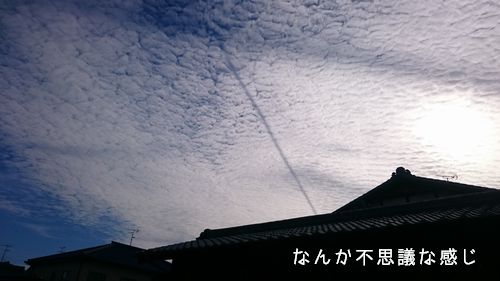 雲