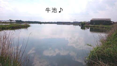 牛池