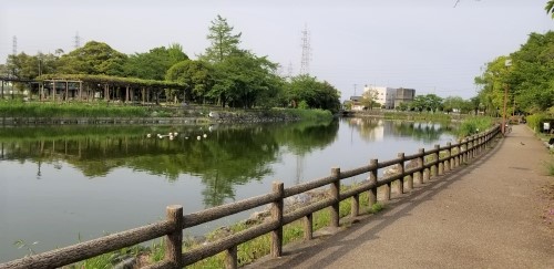 公園池